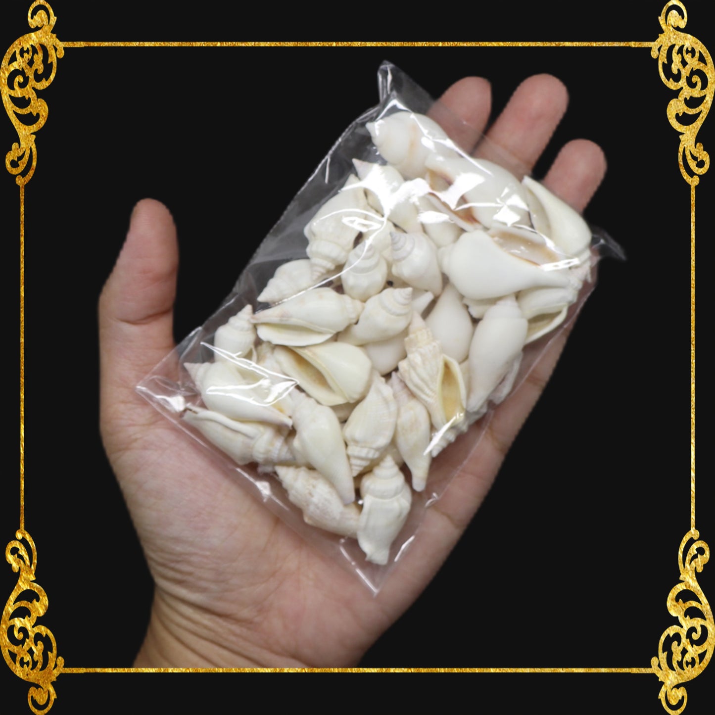 Tingi Pack | Value Pack | Sea Shells