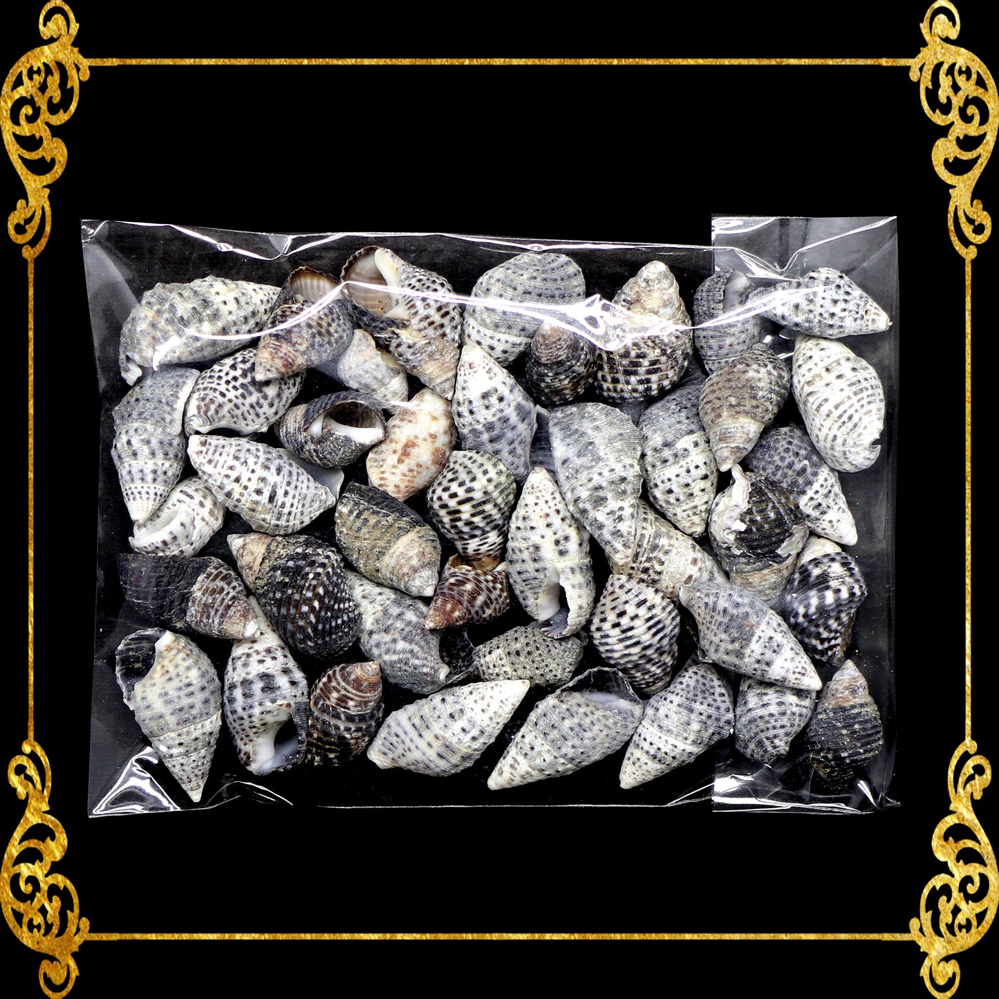 Tingi Pack | Value Pack | Sea Shells