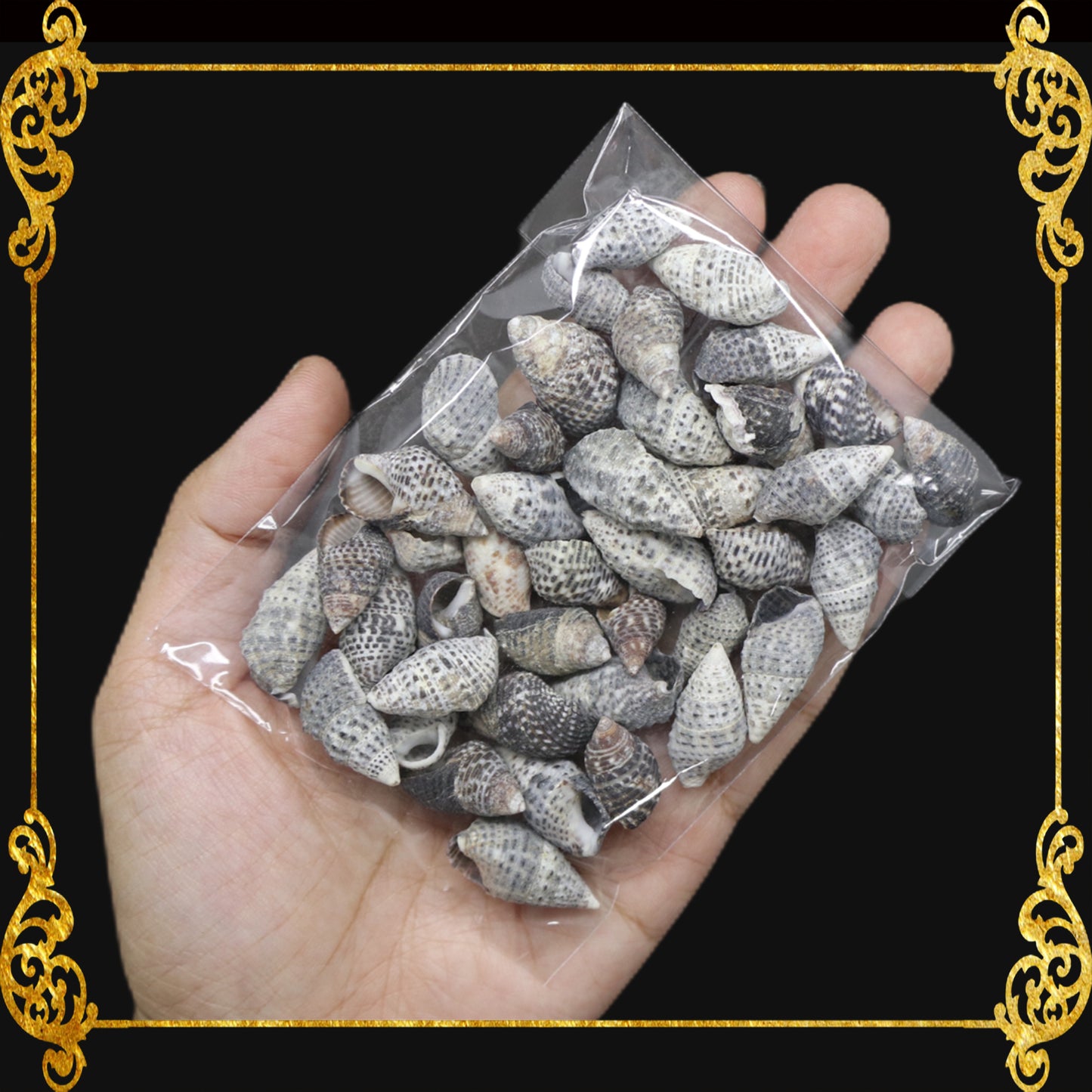 Tingi Pack | Value Pack | Sea Shells