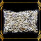 Tingi Pack | Value Pack | Sea Shells