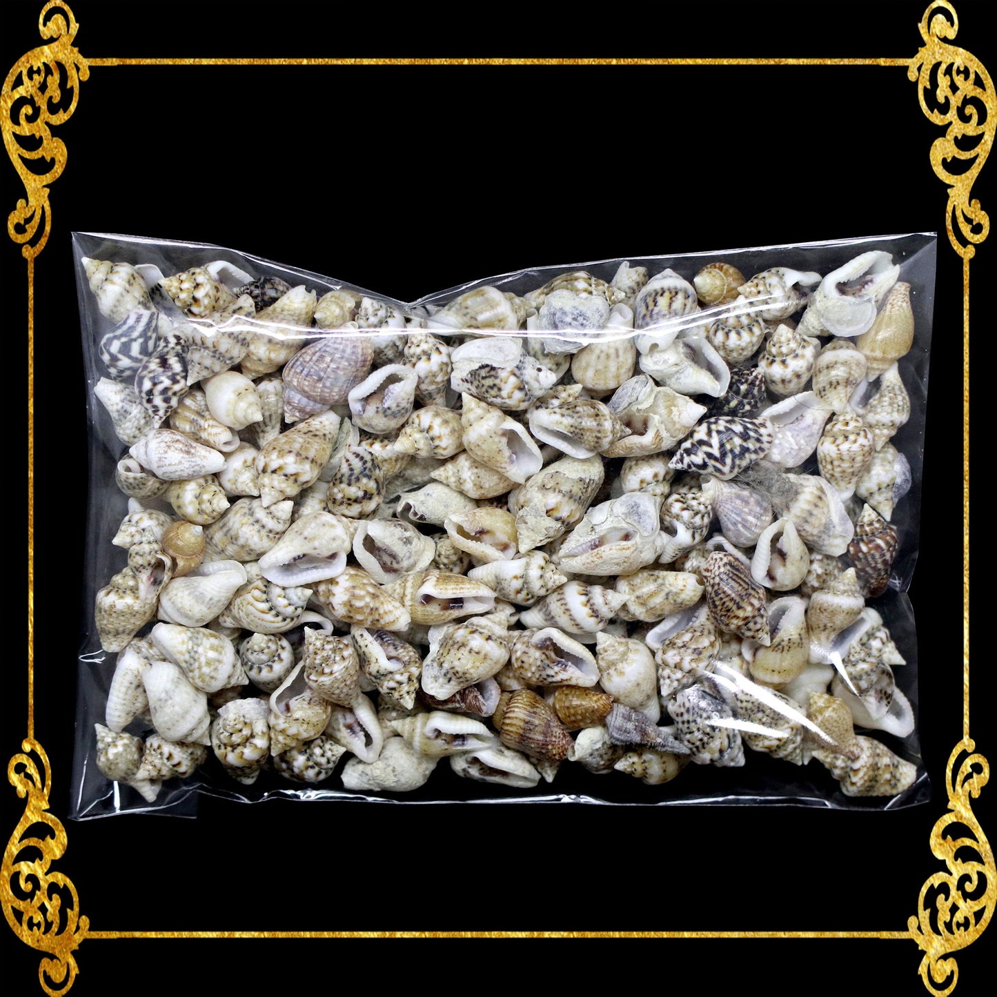 Tingi Pack | Value Pack | Sea Shells