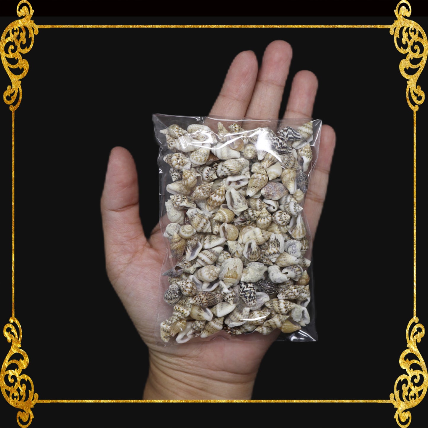 Tingi Pack | Value Pack | Sea Shells