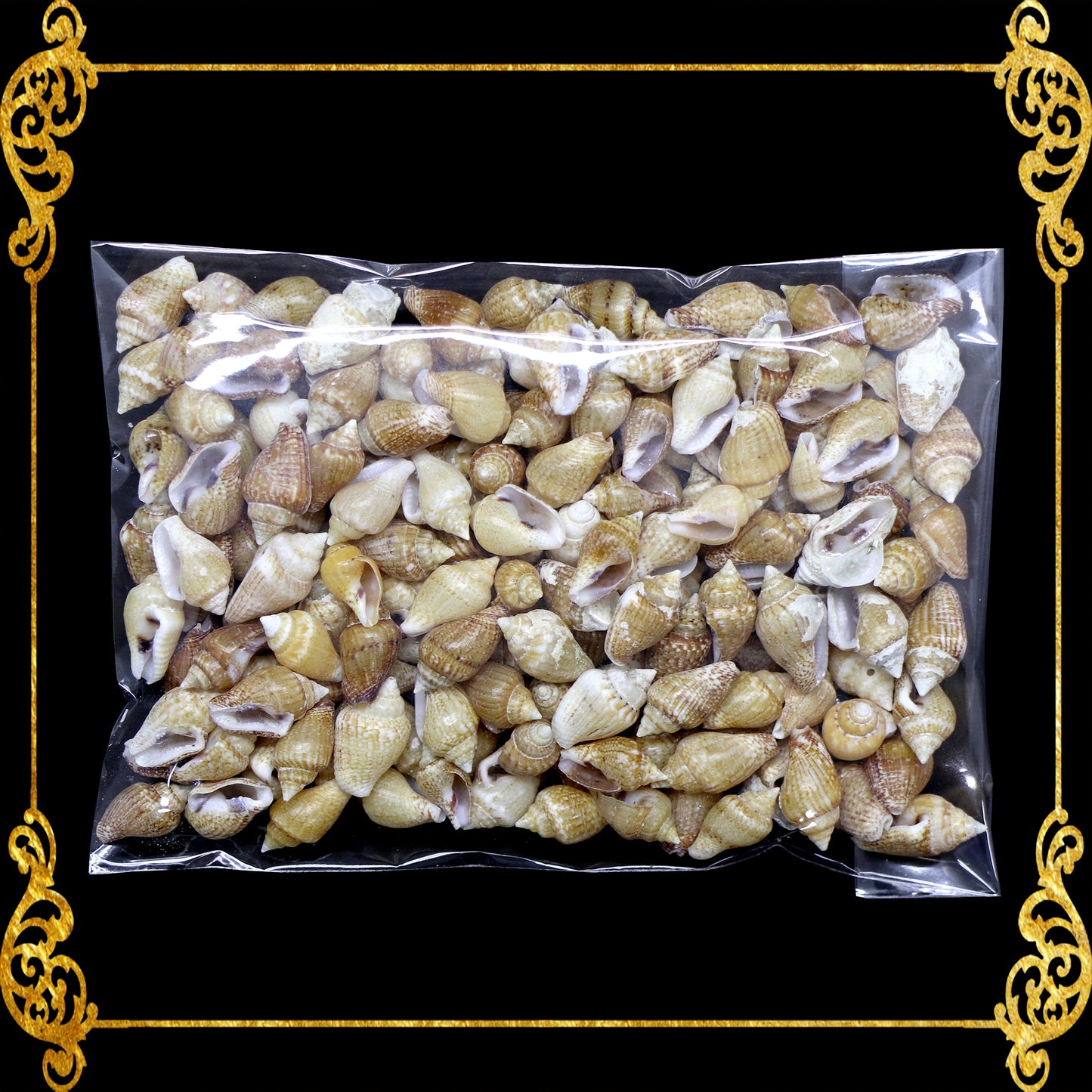 Tingi Pack | Value Pack | Sea Shells