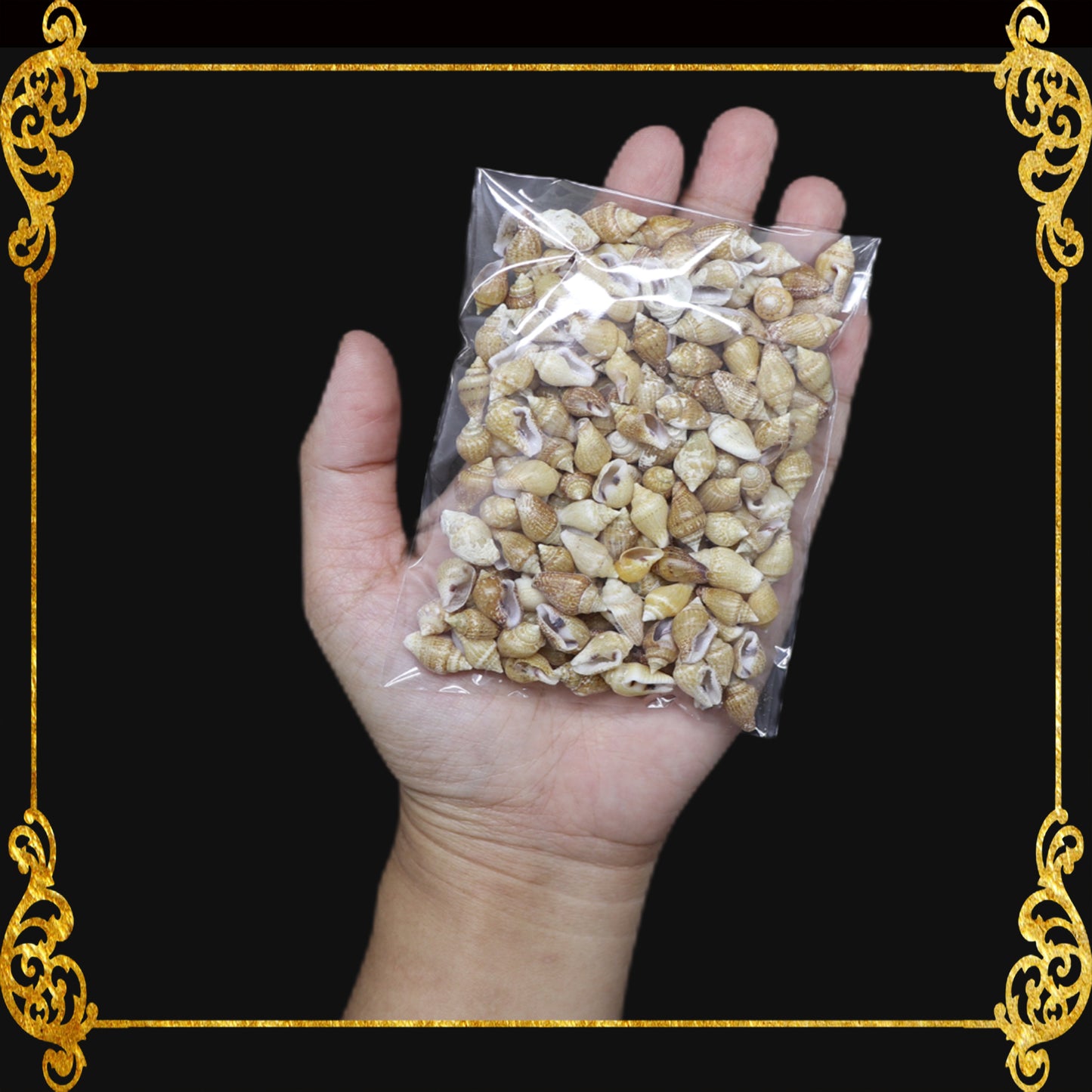 Tingi Pack | Value Pack | Sea Shells