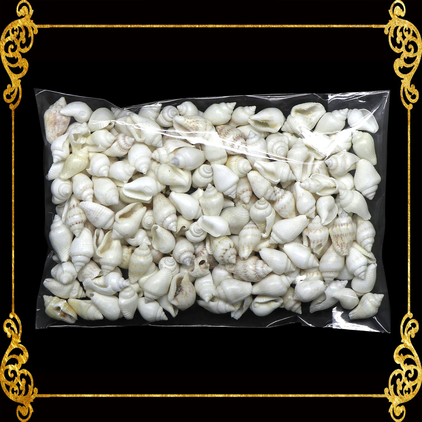 Tingi Pack | Value Pack | Sea Shells