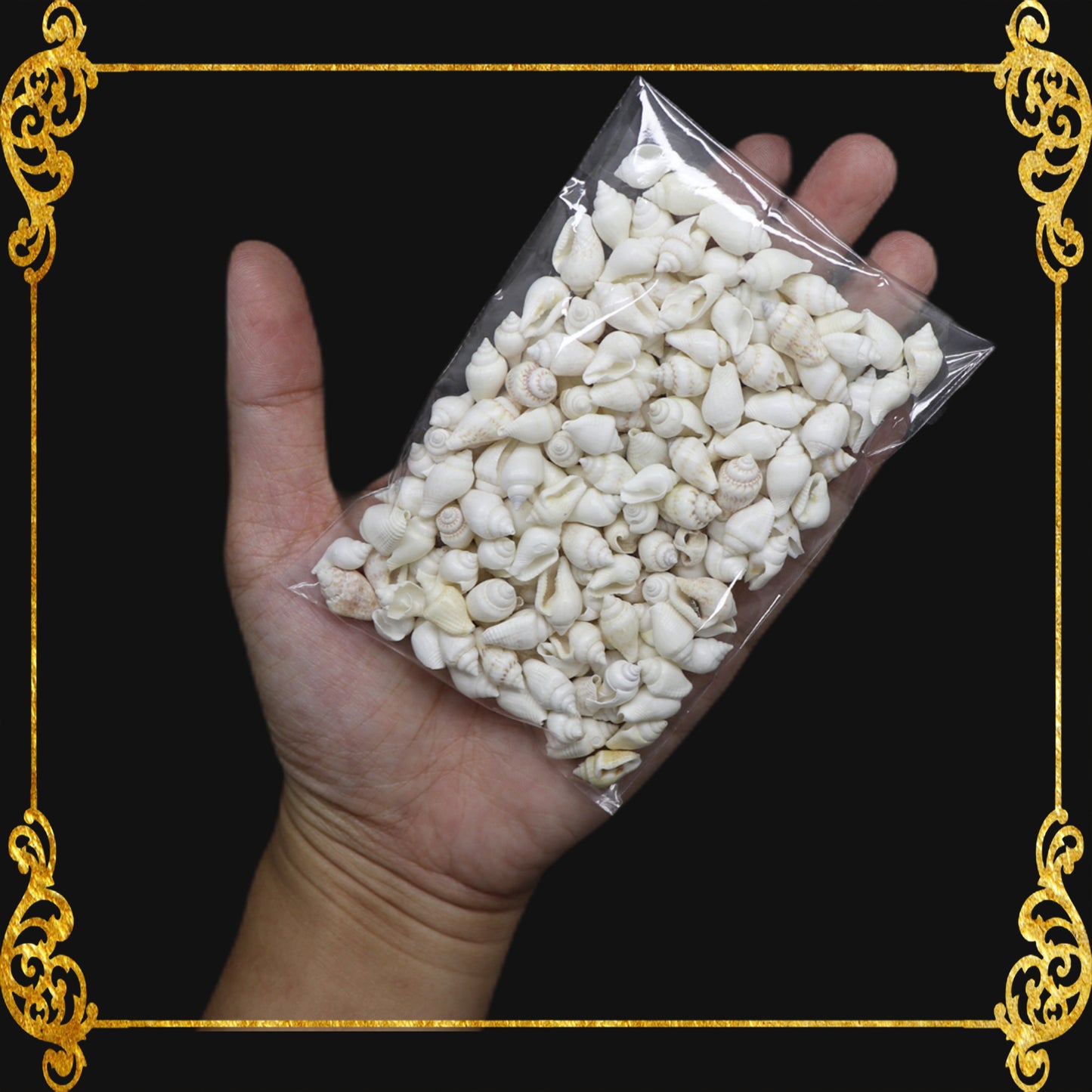 Tingi Pack | Value Pack | Sea Shells