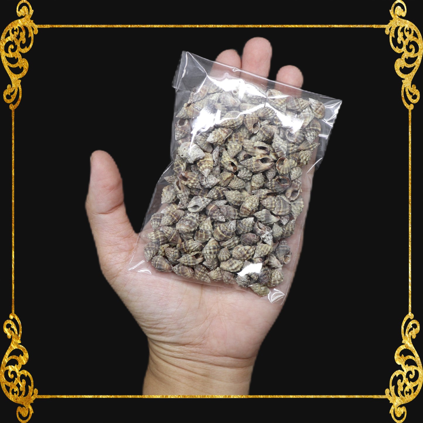 Tingi Pack | Value Pack | Sea Shells