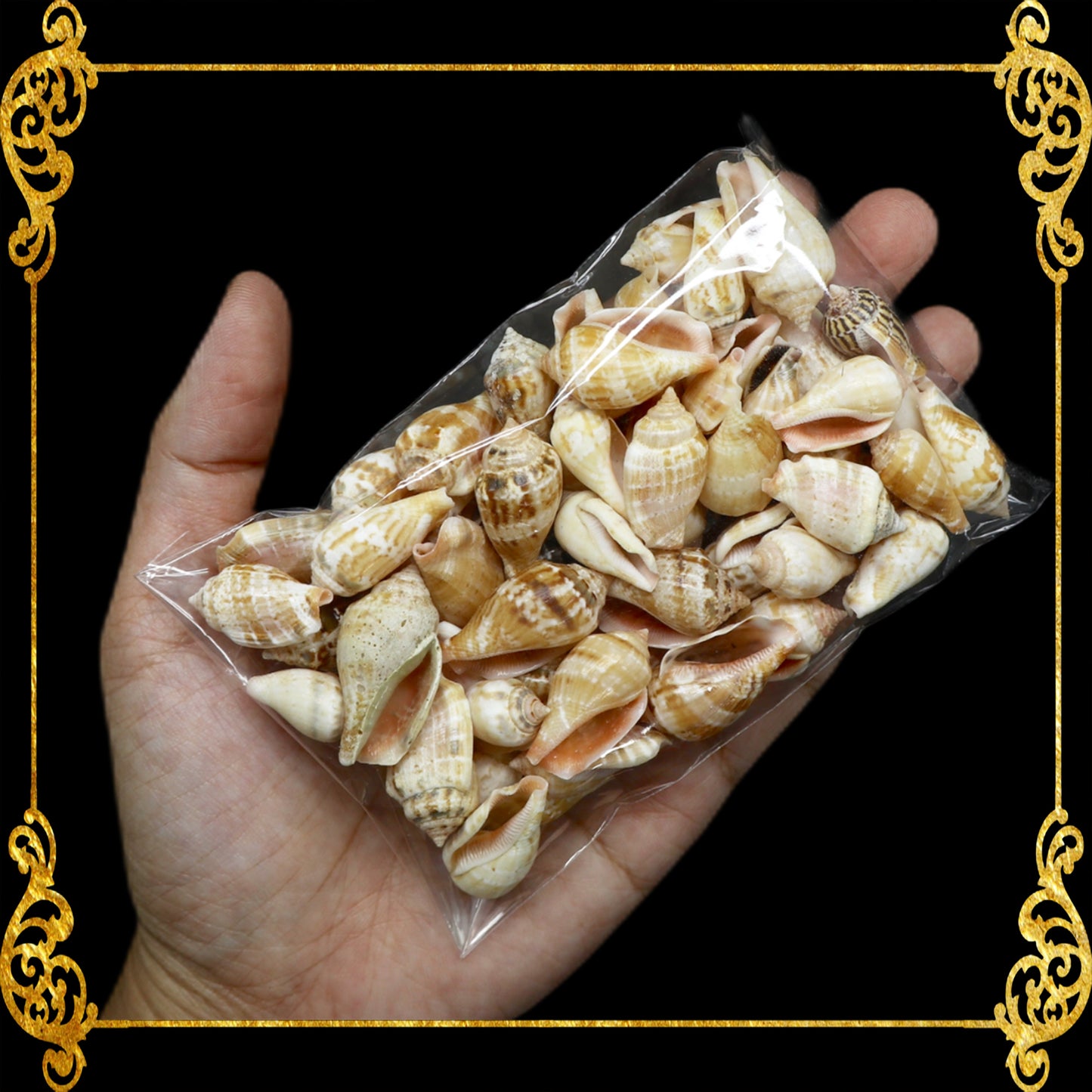 Tingi Pack | Value Pack | Sea Shells