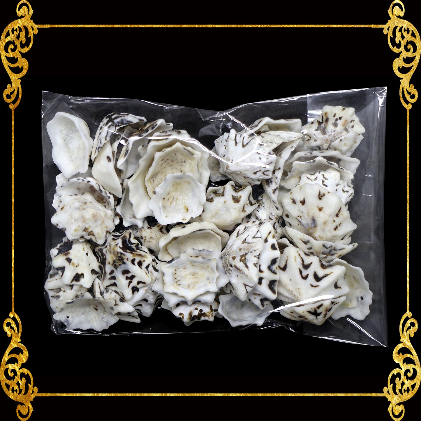 Tingi Pack | Value Pack | Sea Shells