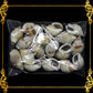 Tingi Pack | Value Pack | Sea Shells