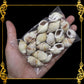 Tingi Pack | Value Pack | Sea Shells