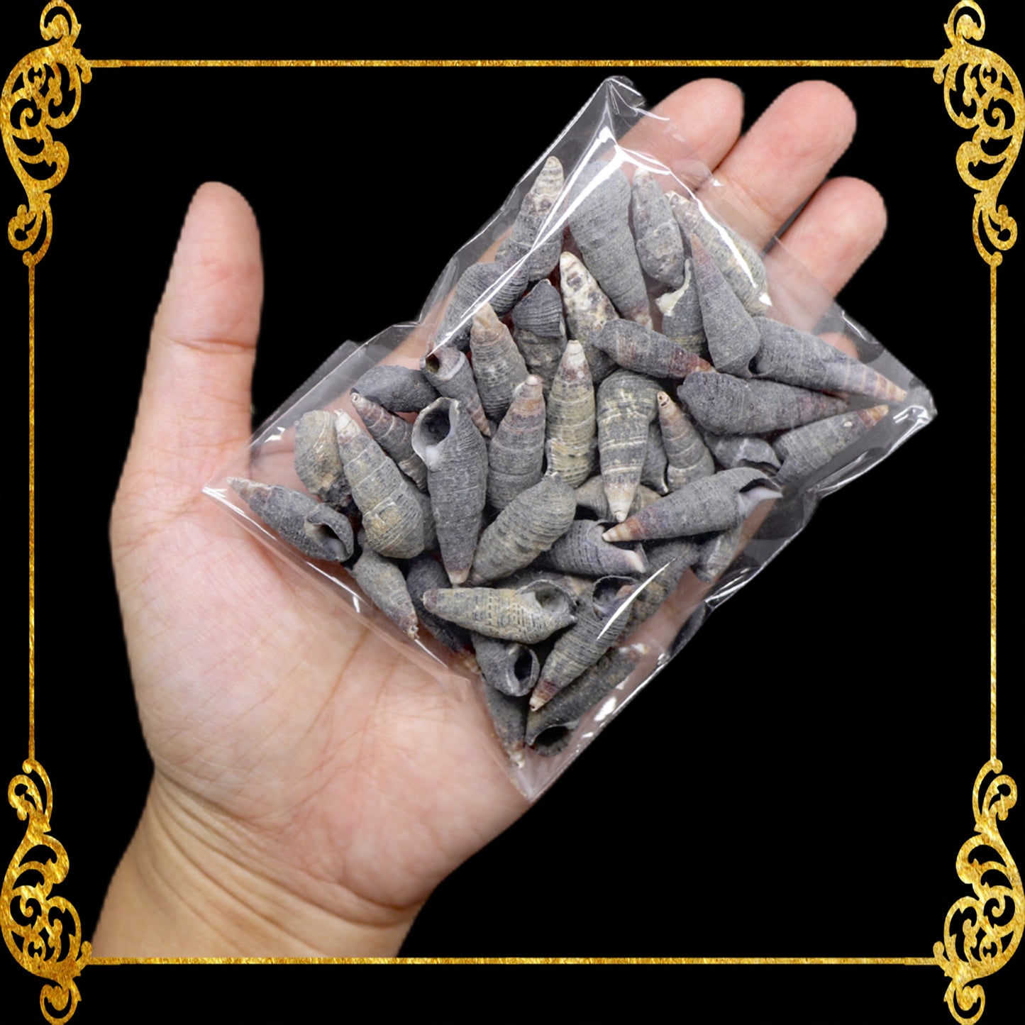 Tingi Pack | Value Pack | Sea Shells