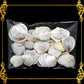 Tingi Pack | Value Pack | Sea Shells