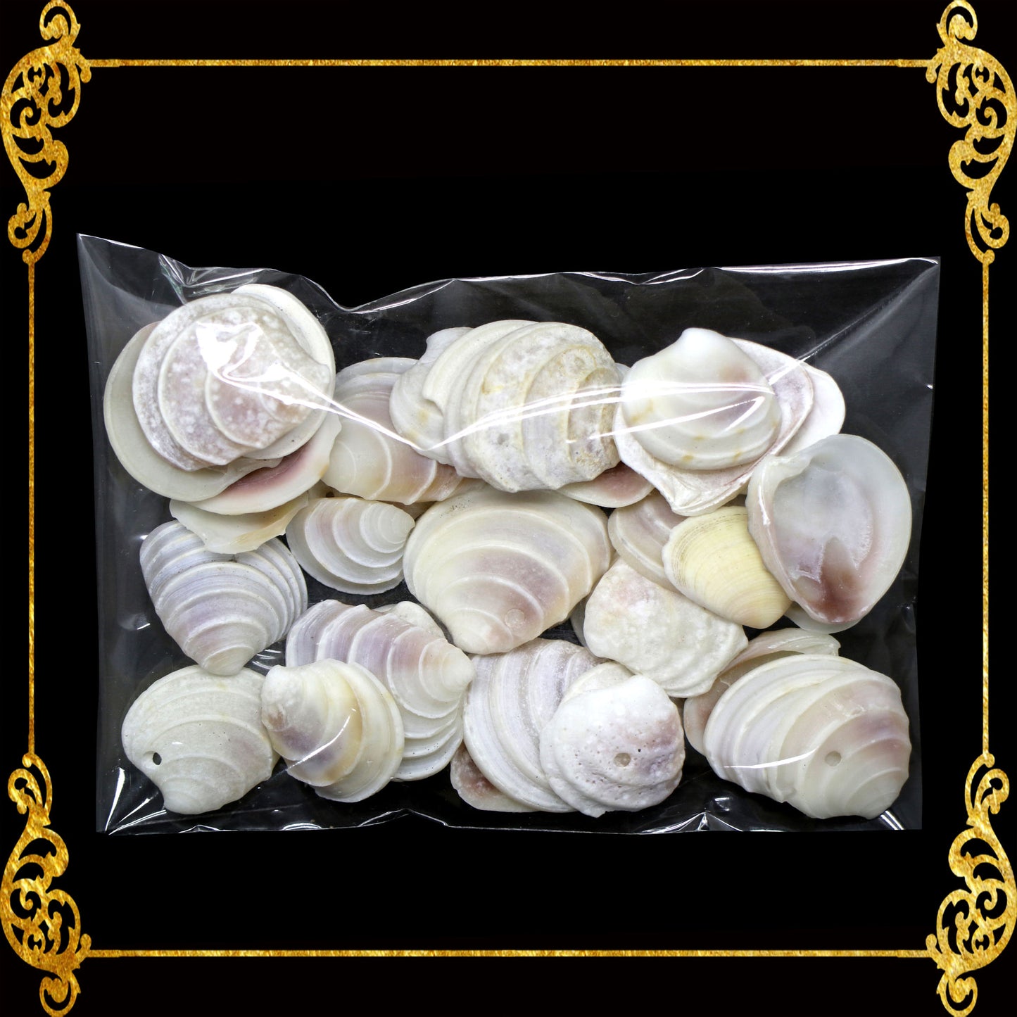 Tingi Pack | Value Pack | Sea Shells