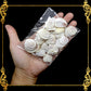 Tingi Pack | Value Pack | Sea Shells