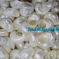 Turbo Green | Pearlized | Turbo Mamoratus | 1.5 - 3 Inches