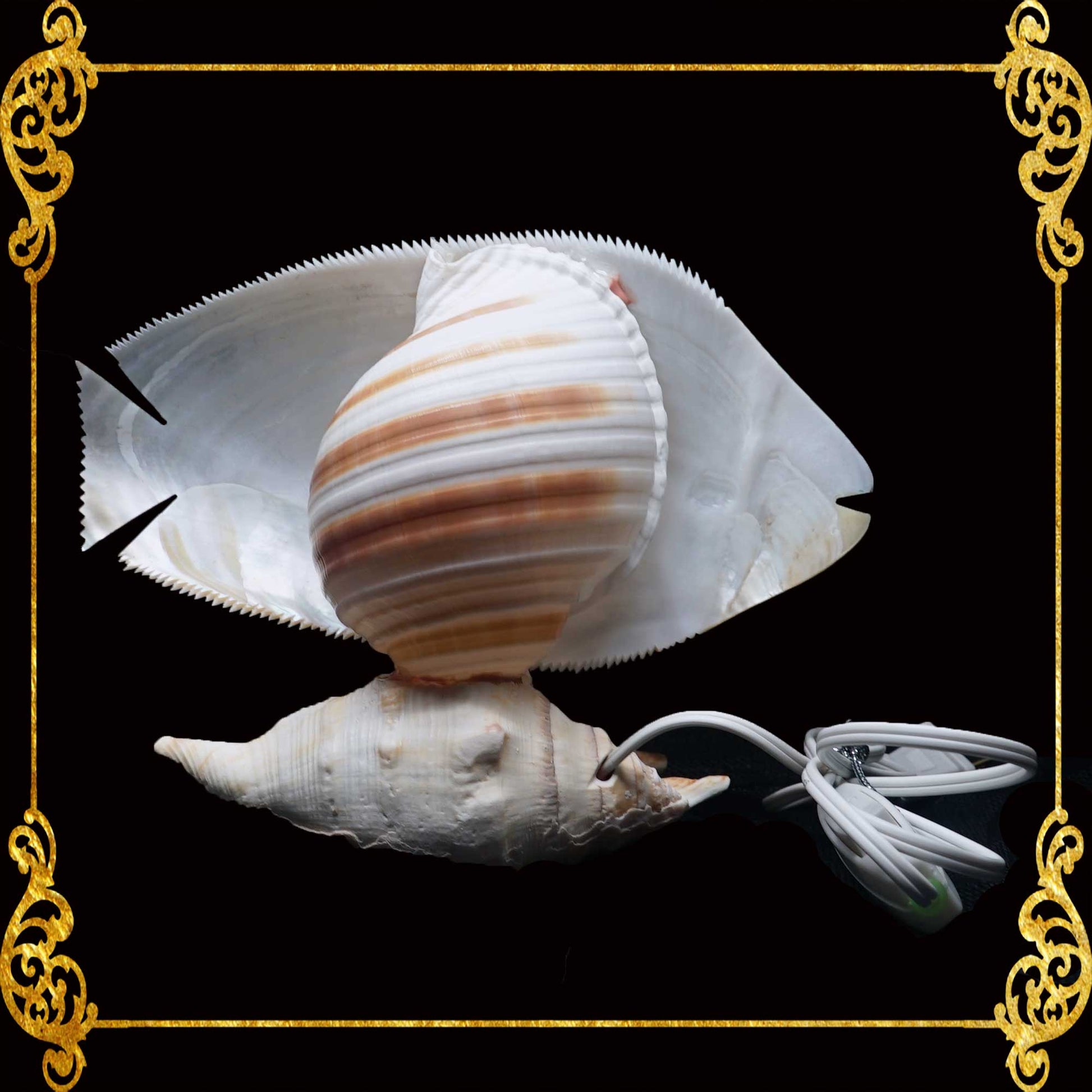 Seashell Lamps 1 – Seashell Supplies Philippines