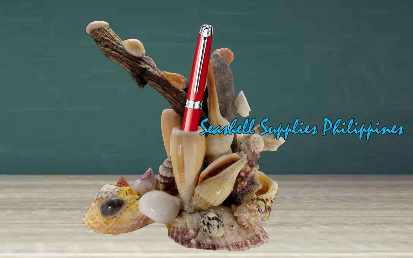 Pen Holder | Seahell with Driftwoods