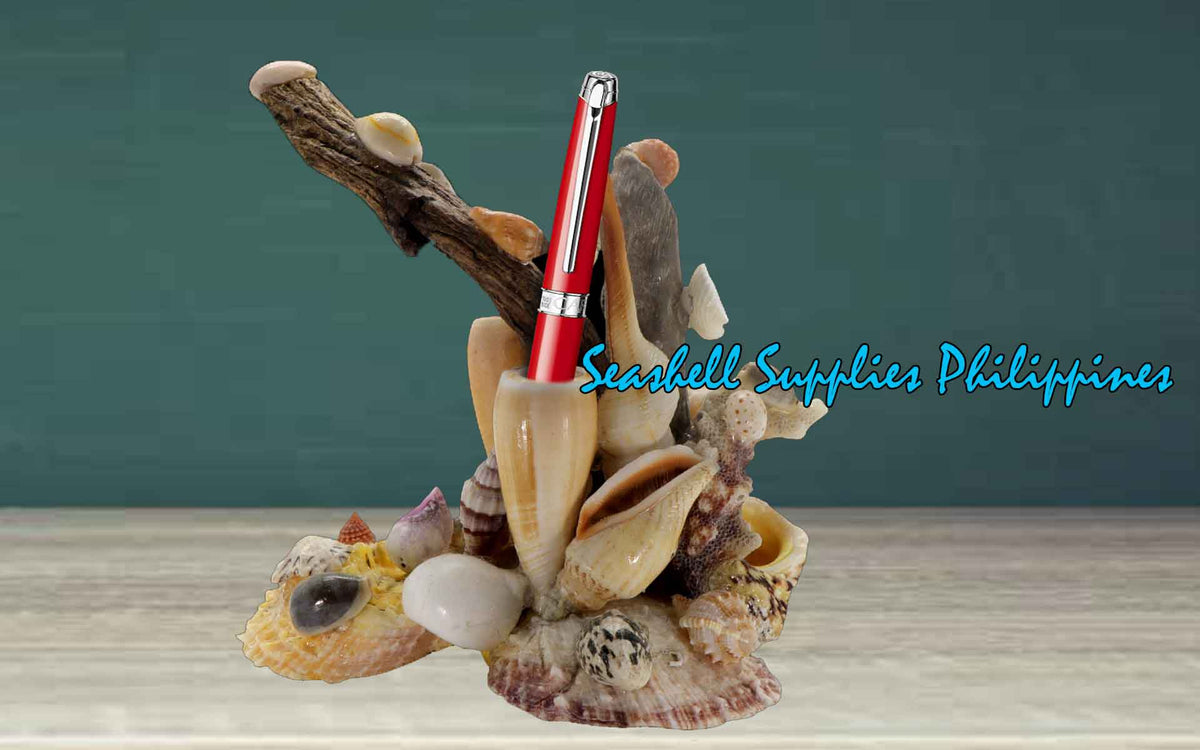 Pen Holder | Seahell with Driftwoods