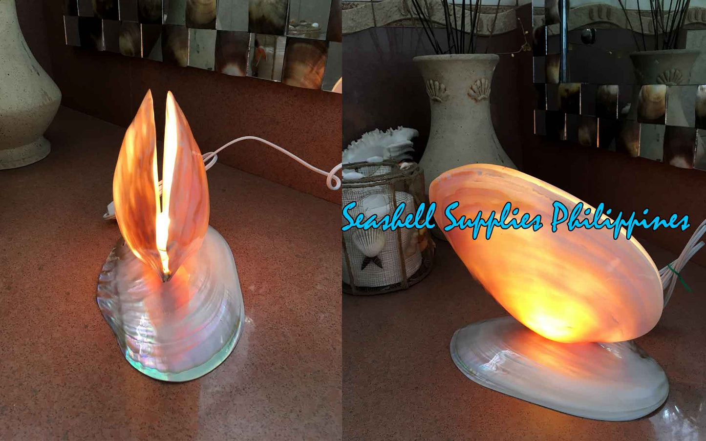 Desk Lamp | Made of Real White Polished Clam Kabibe Seashell