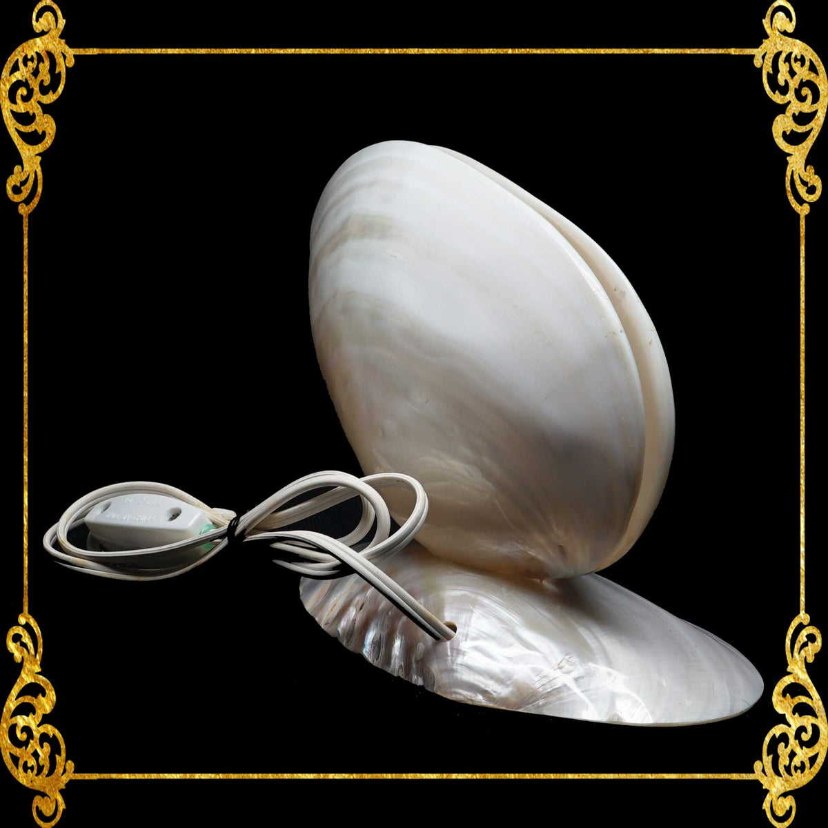 Desk Lamp | Made of Real White Polished Clam Kabibe Seashell