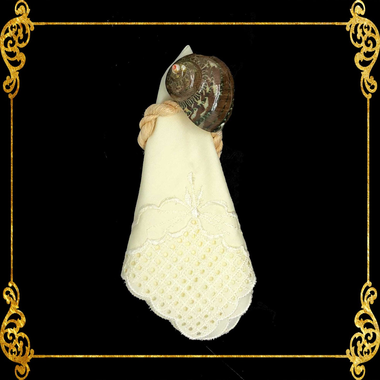 Napkin Ring - Turbo Petholatus - Natural