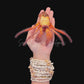 David Bowie Huntsman Spider (Heteropoda davidbowie) | Preserved Spider Specimen | Real Arachnid