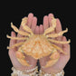 Xanthid Crab (Demania cf. cultripes) | Preserved Crab Specimen | Real Rubble Crab