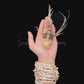 Lionfish (Pterois volitans) | Preserved Fish Specimen | Real Red Lionfish
