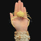 Pebble Crab Dome (Tanaoa pustulosus) | Preserved Crab Specimen | Real Pebble Crab