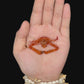 Squat Lobster (Munidopsis sp.) | Preserved Lobster Specimen | Real Deep-sea Squat Lobster