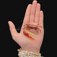 Orange Fiddler Crab (Gelasimus vocans) | Preserved Crab Specimen | Real Marine Crab