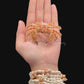 Hairy Crab (Pilumnus minutus) | Preserved Crab Specimen | Real Pilumnus Crab