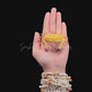 Egg Crab (Atergatis integerrimus) | Preserved Crab Specimen | Real Marine Crab