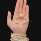 Elbow Crab (Rhinolambrus contrarius) | Preserved Crab Specimen | Real Parthenopid Elbow Crab