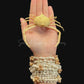 Box Crab (Randallia eburnea) | Preserved Crab Specimen | Real Marine Crab