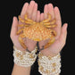 Sawedged Spooner (Etisus utilis) | Preserved Crab Specimen | Real Saw-edged Spooner Crab
