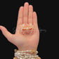 Harlequin Swimming Crab (Lissocarcinus orbicularis) | Preserved Crab Specimen | Real Orbicular Swimming Crab