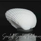 Batiting | Transverse Ark | Anadara Transversa Sea Shells