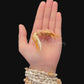 Dussumier's Fiddler Crab (Tubuca dussumieri) | Preserved Crab Specimen | Real Fiddler Crab