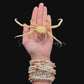 Samurai Crab (Heikeopsis japonica) | Preserved Crab Specimen | Real Heike Crab