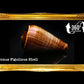 Conus Figulinus | Fig Cone | 2.5 - 3 Inches