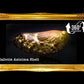 Abalone Long | Donkey's Ear Abalone | Polished | 2 - 3.5 Inches