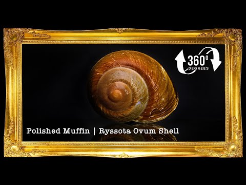 Ensaymada | Polished Muffin |1 - 3 Inches