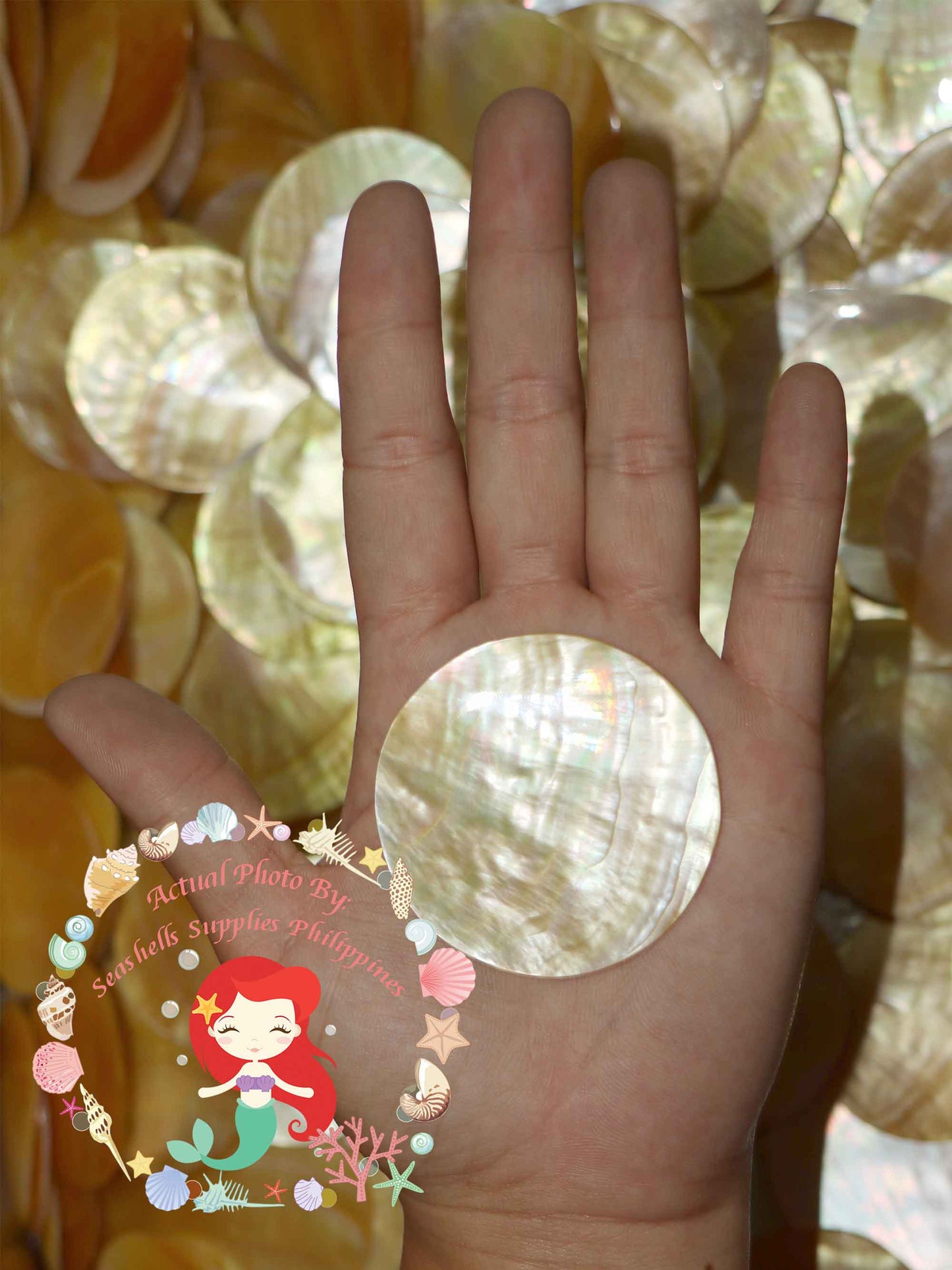 Mother Of Pearl | Round | Plates | 1.5 Inches