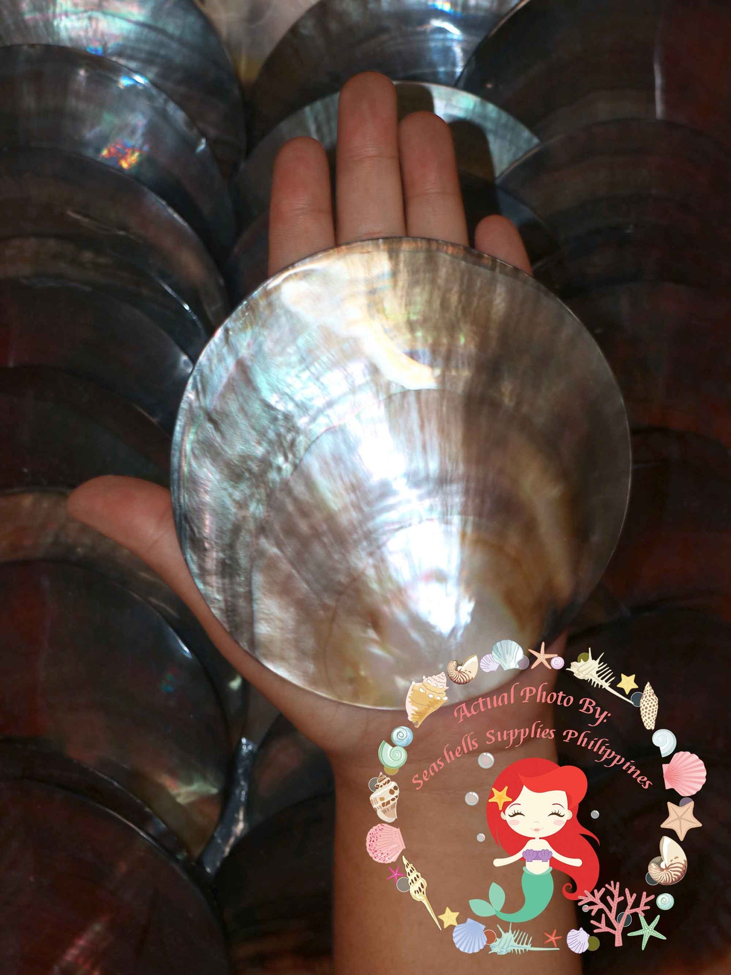 mother-of-pearl-black-lip-round-3-inches