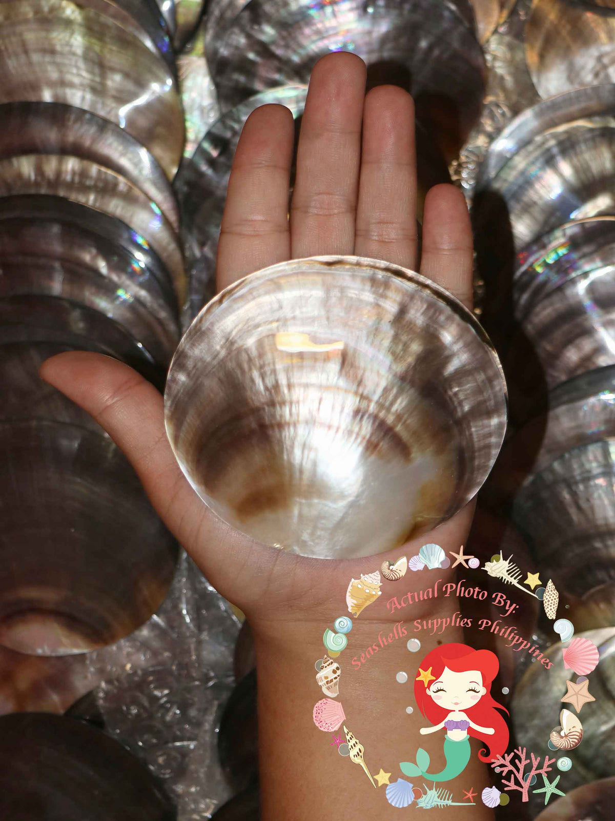 mother-of-pearl-black-lip-round-plates-3.5-inches