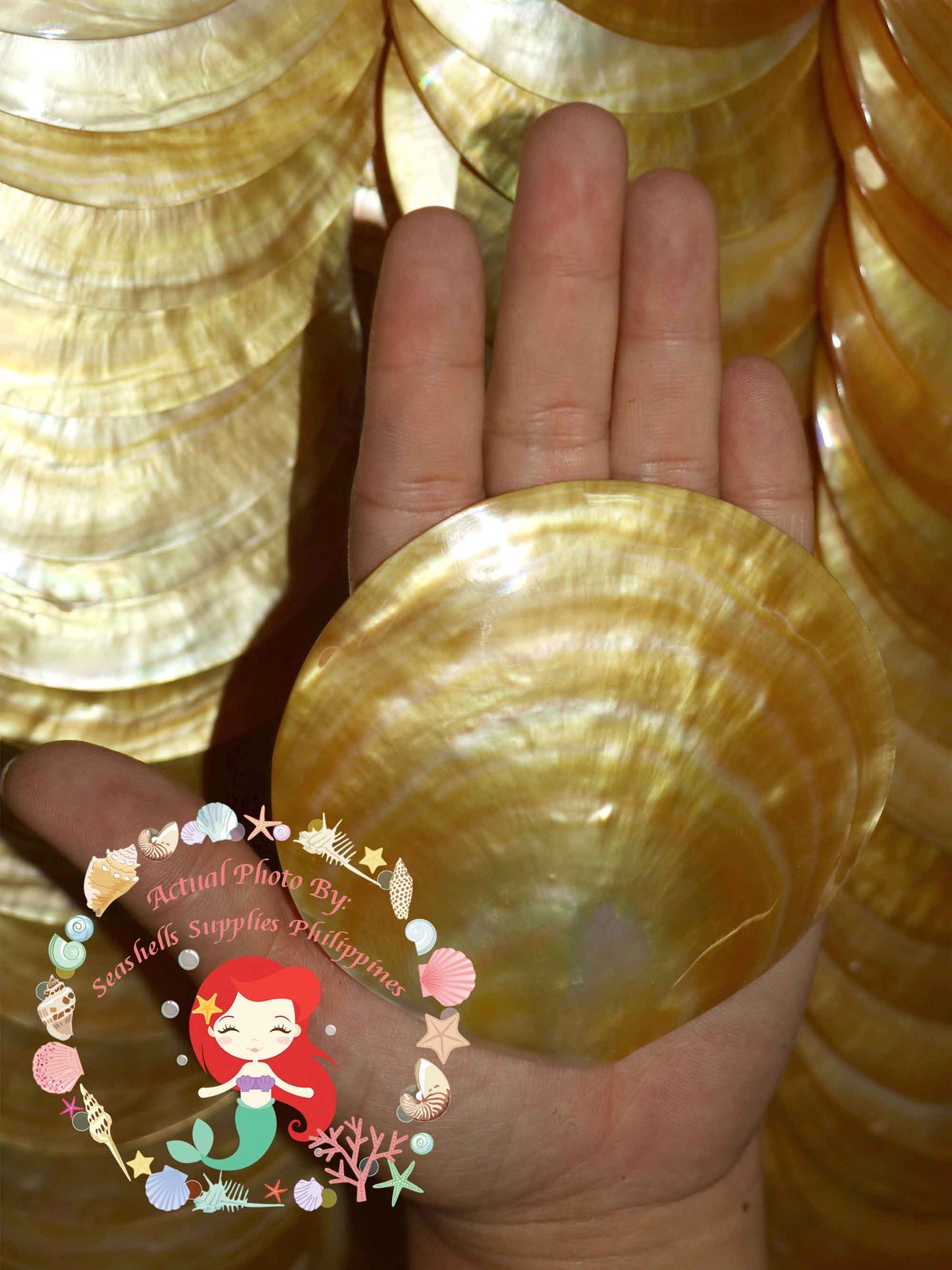 mother-of-pearl-round-plates-3 .5-inches