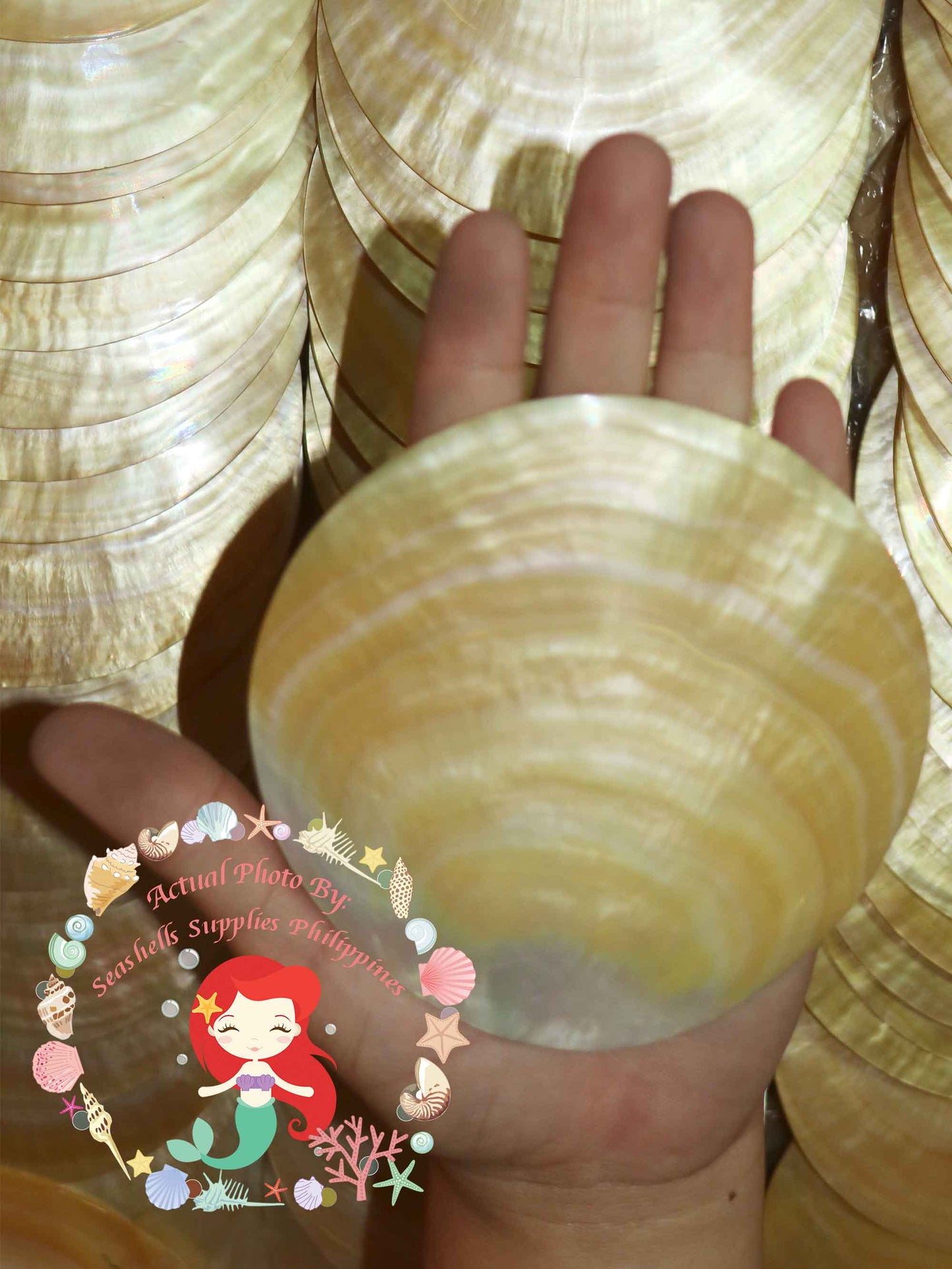 mother-of-pearl-round-plates-4 Inches