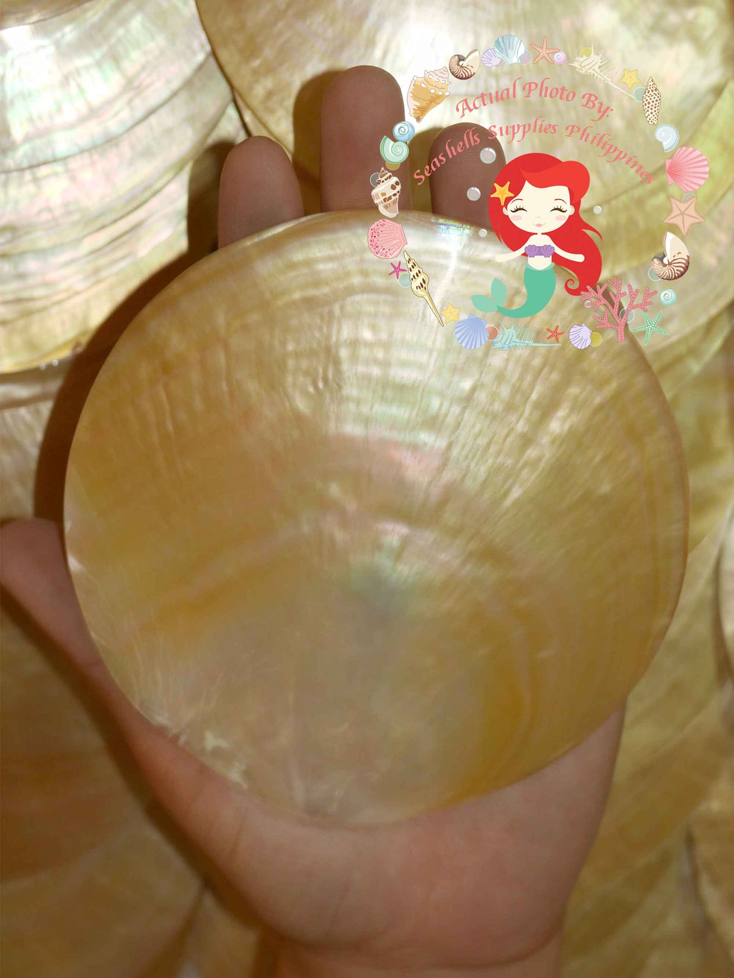 mother-of-pearl-round-plates-4 .5-inches